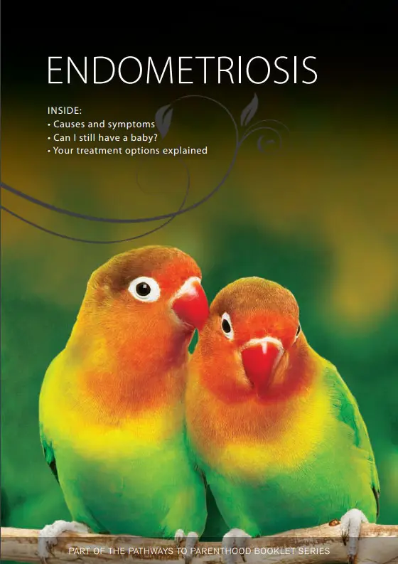 Endometriosis booklet cover