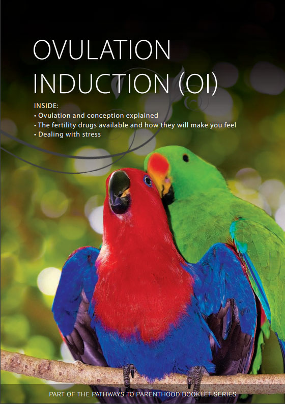 Ovulation Induction (OI)