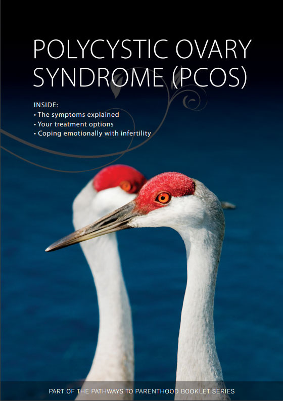 Polycystic Ovary Syndrome (PCOS)